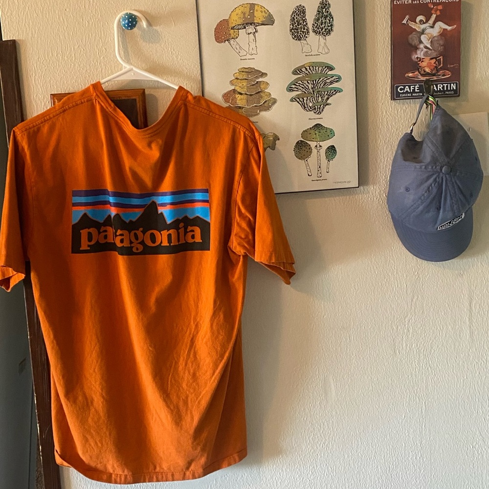 Patagonia shirt